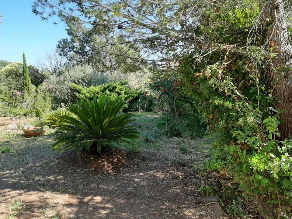 Mas Provencal Au Cannet Des Maures Льо-Канет-де-Мор Екстериор снимка