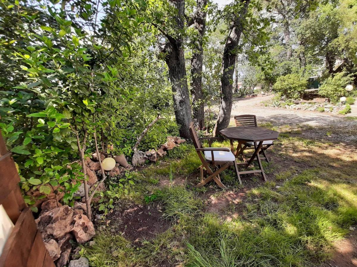 Mas Provencal Au Cannet Des Maures Льо-Канет-де-Мор Екстериор снимка
